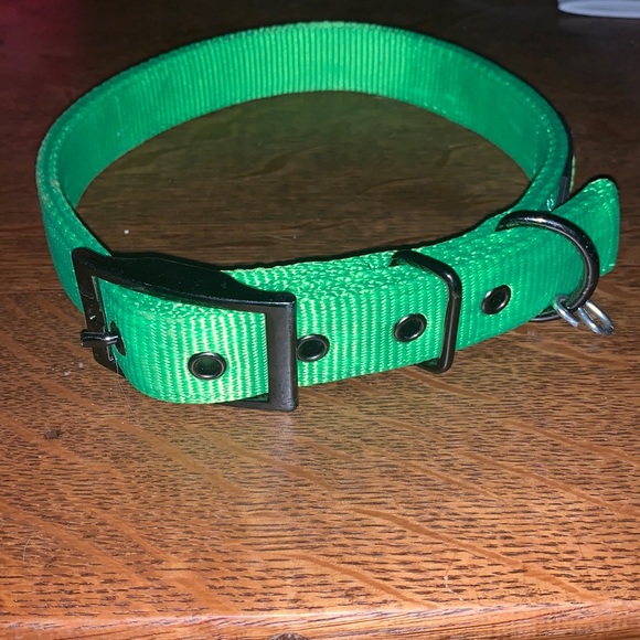 top paw collar